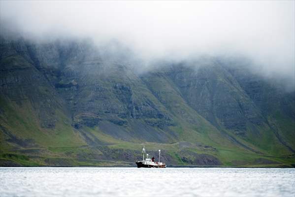 Whaling station in the village of Midsandur, Iceland