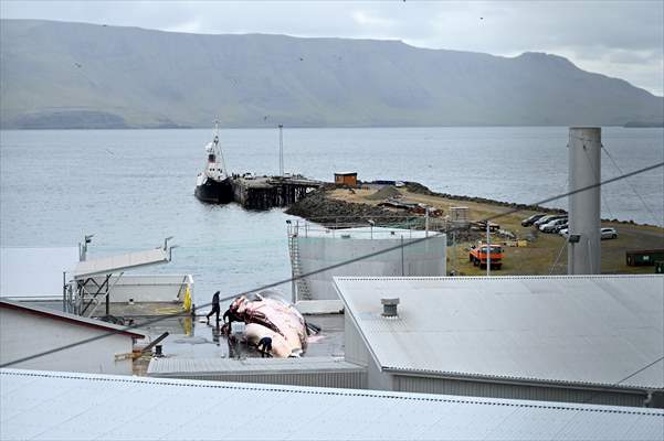 Whaling station in the village of Midsandur, Iceland