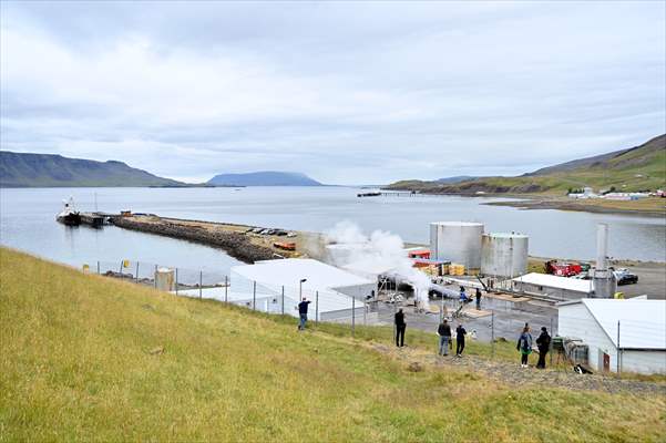 Whaling station in the village of Midsandur, Iceland