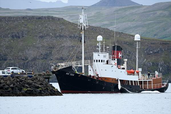 Whaling station in the village of Midsandur, Iceland