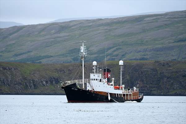 Whaling station in the village of Midsandur, Iceland