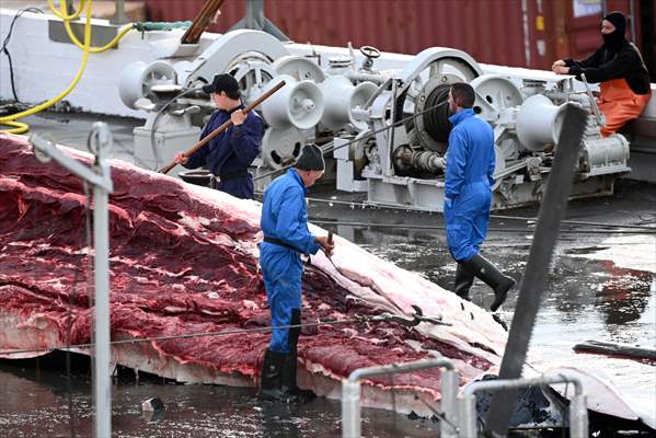 Whaling station in the village of Midsandur, Iceland