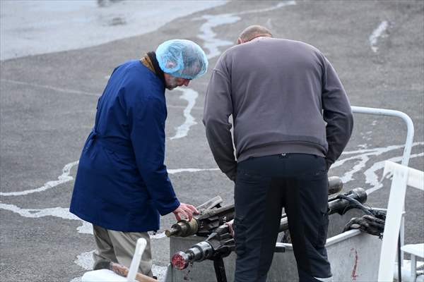 Whaling station in the village of Midsandur, Iceland