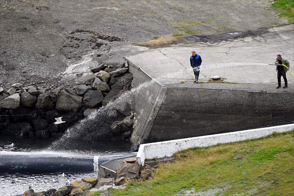 Whaling station in the village of Midsandur, Iceland