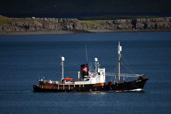 Whaling station in the village of Midsandur, Iceland