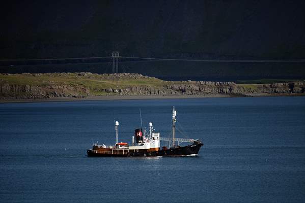 Whaling station in the village of Midsandur, Iceland