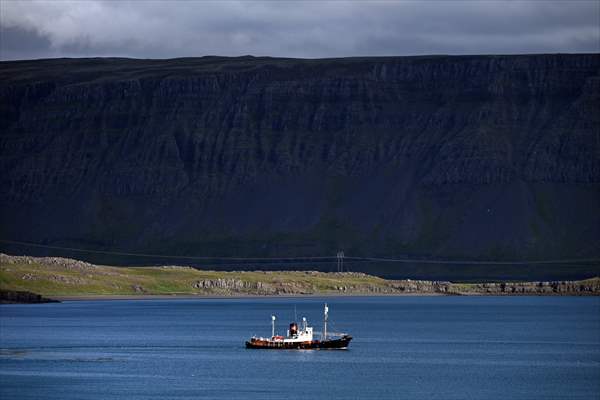 Whaling station in the village of Midsandur, Iceland