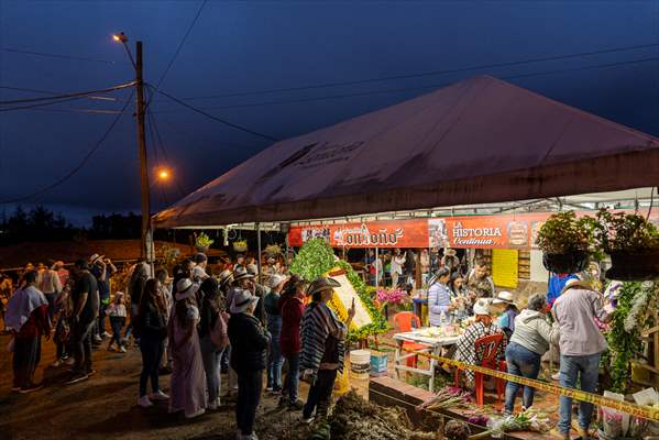 Flower Fair in Medellin