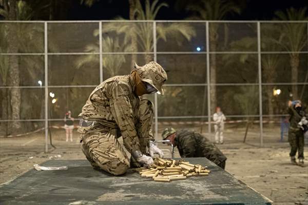 "Night of Alborada” fireworks in Elche