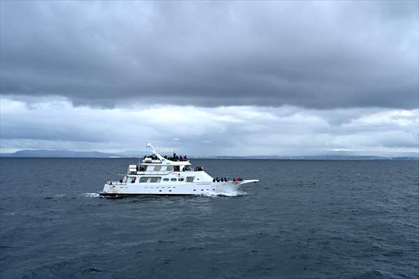 Whale watching in Fjallabak Nature Reserve