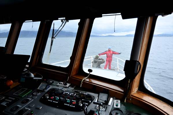 Whale watching in Fjallabak Nature Reserve