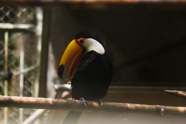 Senda Verde wildlife sanctuary in Bolivia