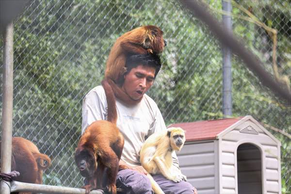 Senda Verde wildlife sanctuary in Bolivia