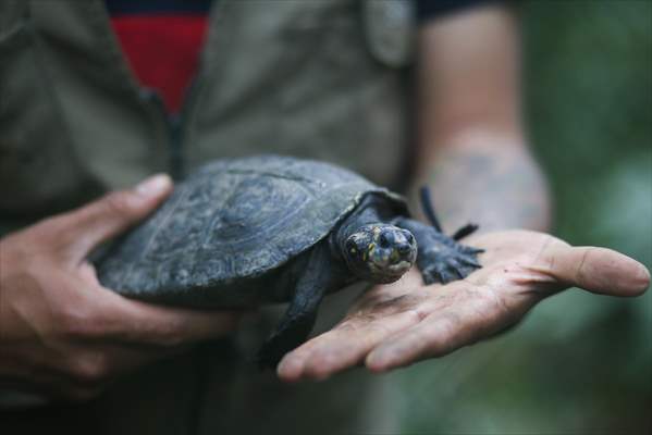 Senda Verde wildlife sanctuary in Bolivia