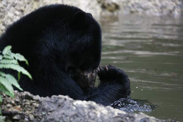 Senda Verde wildlife sanctuary in Bolivia