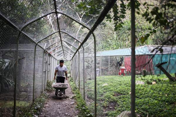 Senda Verde wildlife sanctuary in Bolivia
