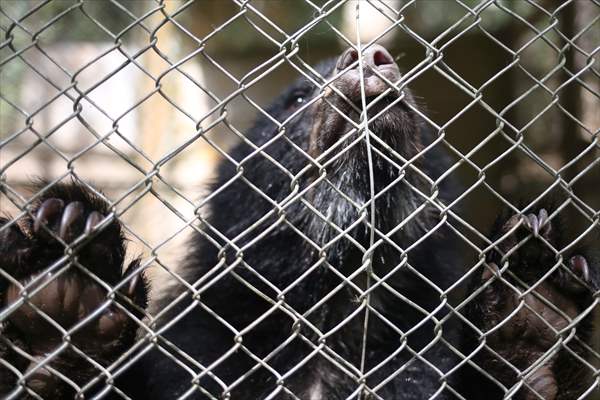 Senda Verde wildlife sanctuary in Bolivia