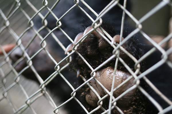 Senda Verde wildlife sanctuary in Bolivia