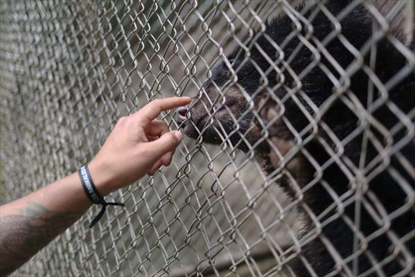 Senda Verde wildlife sanctuary in Bolivia