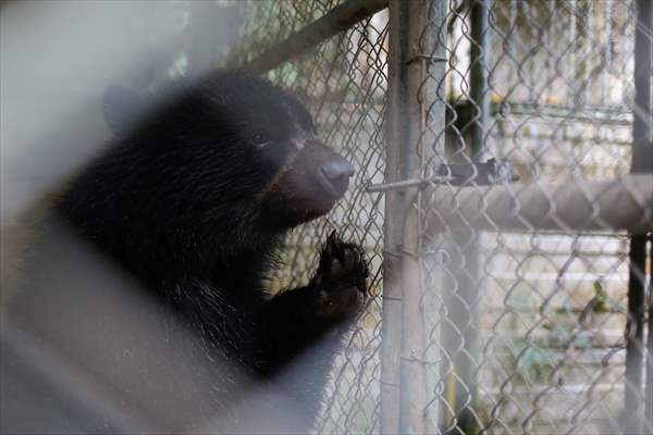 Senda Verde wildlife sanctuary in Bolivia