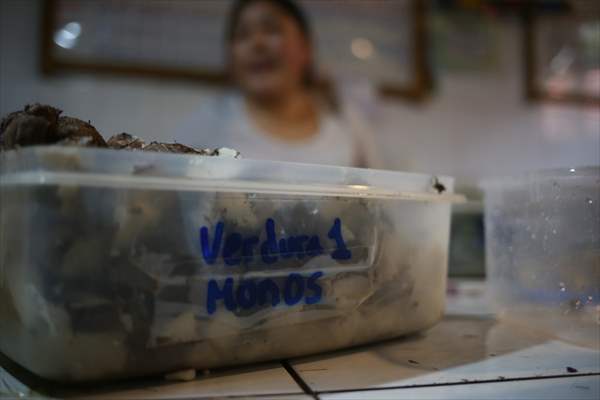 Senda Verde wildlife sanctuary in Bolivia