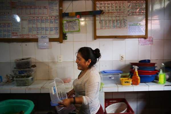 Senda Verde wildlife sanctuary in Bolivia