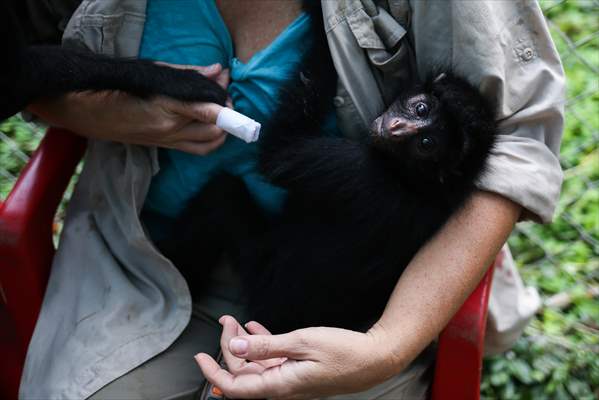 Senda Verde wildlife sanctuary in Bolivia