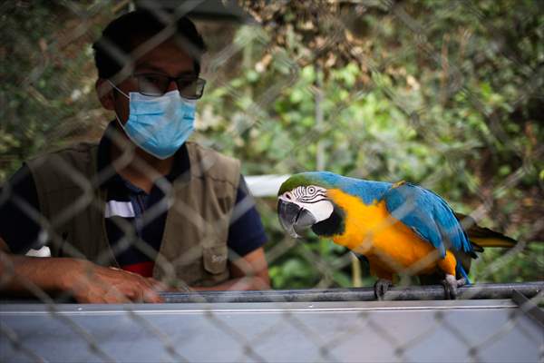 Senda Verde wildlife sanctuary in Bolivia