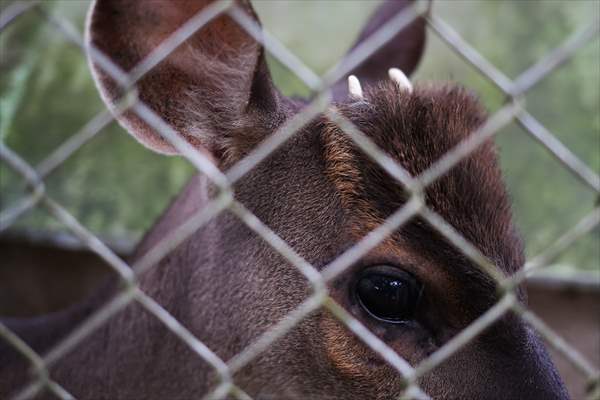 Senda Verde wildlife sanctuary in Bolivia