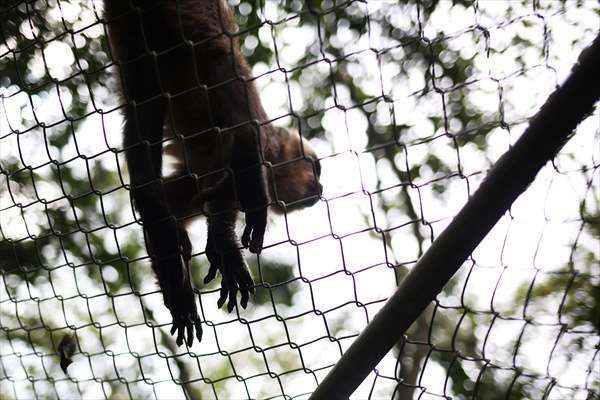 Senda Verde wildlife sanctuary in Bolivia