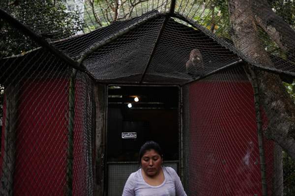 Senda Verde wildlife sanctuary in Bolivia
