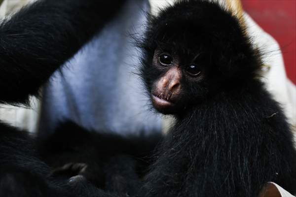 Senda Verde wildlife sanctuary in Bolivia