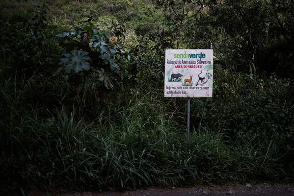 Senda Verde wildlife sanctuary in Bolivia