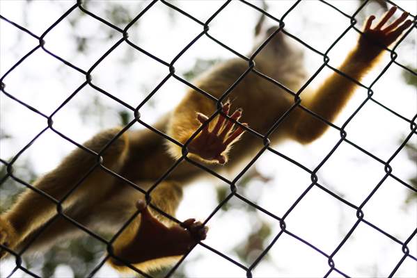 Senda Verde wildlife sanctuary in Bolivia