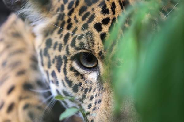 Senda Verde wildlife sanctuary in Bolivia