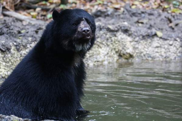 Senda Verde wildlife sanctuary in Bolivia