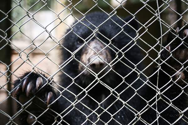 Senda Verde wildlife sanctuary in Bolivia