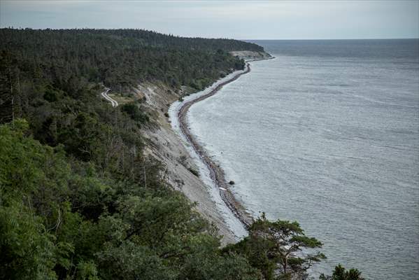 Environmental Impact of Militarization in Gotland