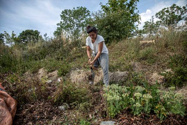 Environmental Impact of Militarization in Gotland