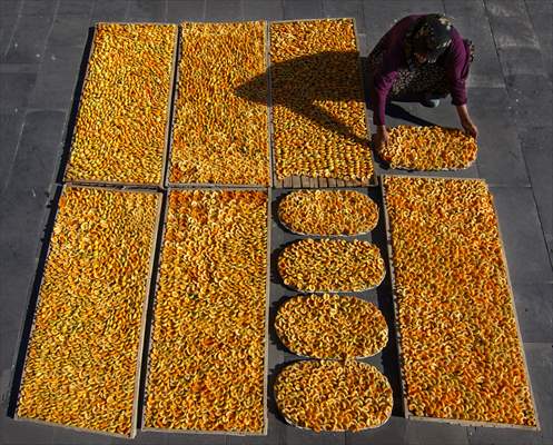 Malatya'dan 20 günde 16 milyon dolarlık kuru kayısı ihracatı