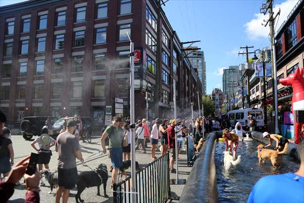 The Day Of The Dog Festival in Canada