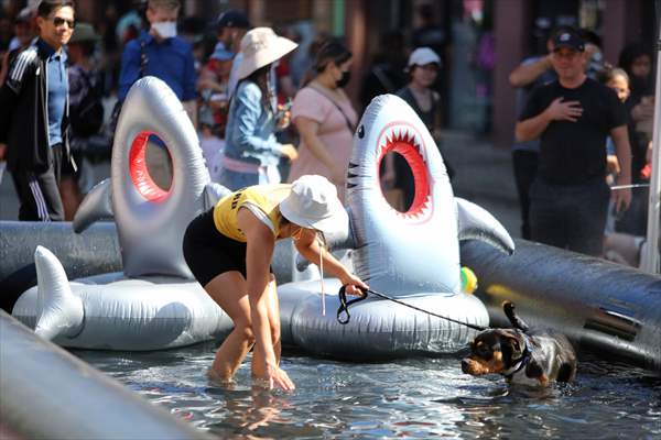 The Day Of The Dog Festival in Canada