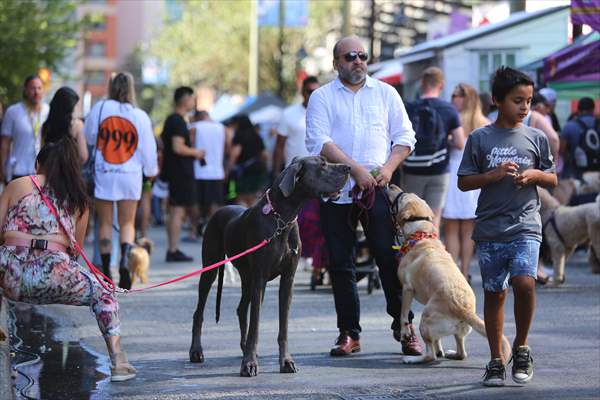 The Day Of The Dog Festival in Canada