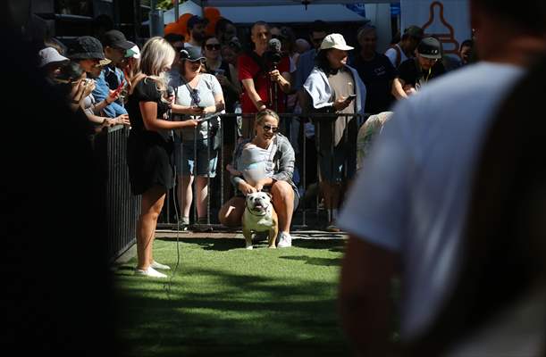 The Day Of The Dog Festival in Canada