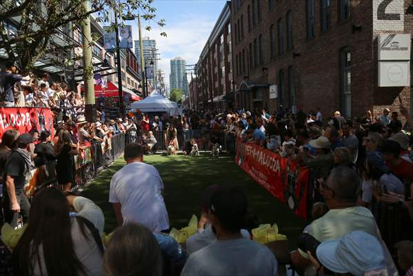 The Day Of The Dog Festival in Canada