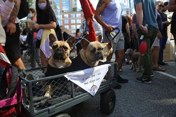 The Day Of The Dog Festival in Canada