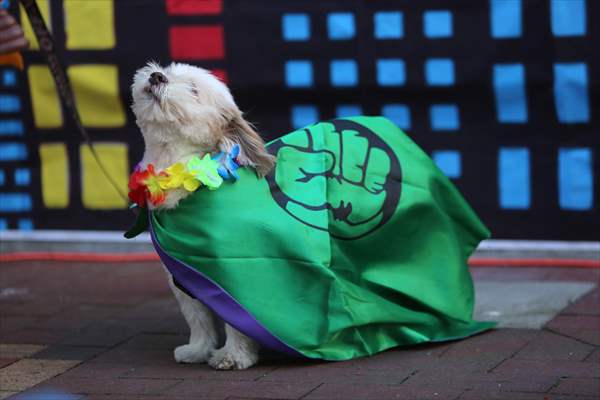 The Day Of The Dog Festival in Canada