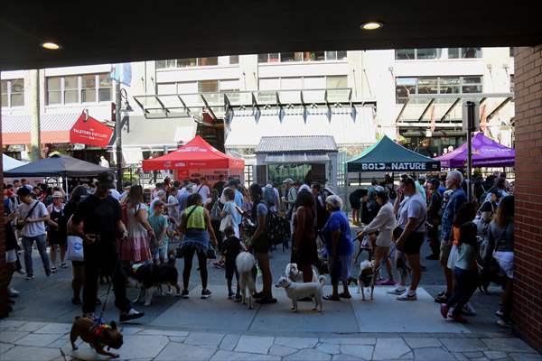 The Day Of The Dog Festival in Canada