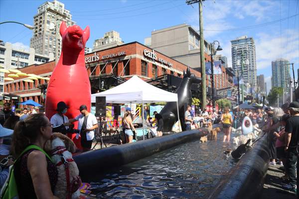 The Day Of The Dog Festival in Canada