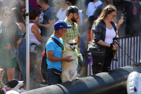 The Day Of The Dog Festival in Canada